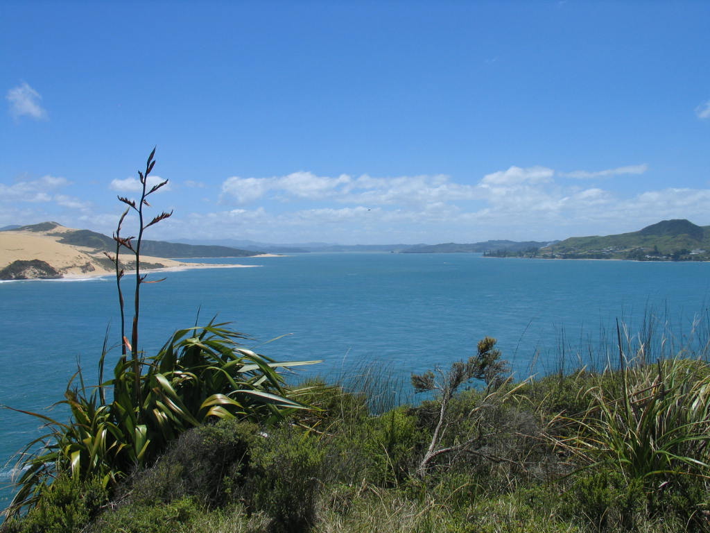 Awesome Hokianga Harbour, Far North, New Zealand